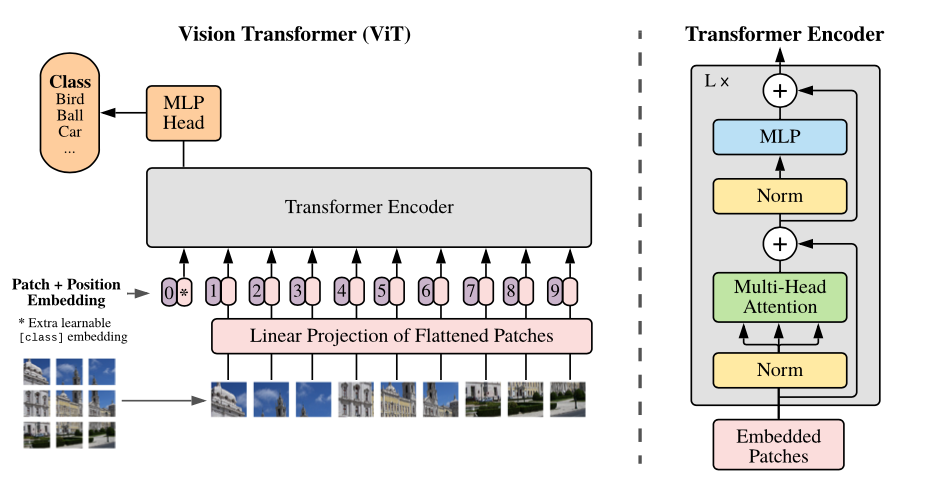 Vision Transformer VIT Architecture - Source
